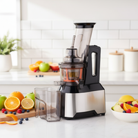 Commerciële roestvrijstalen automatische slowjuicer met grote opening voor citrusvruchten en sinaasappels
