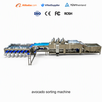 Machine de tri et de calibrage automatique à haute efficacité pour les graines et les haricots