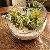 Tazón <span class=keywords><strong>de</strong></span> corte <span class=keywords><strong>de</strong></span> inglete transparente Jarrón <span class=keywords><strong>de</strong></span> vidrio <span class=keywords><strong>Caja</strong></span> <span class=keywords><strong>de</strong></span> alimentación <span class=keywords><strong>de</strong></span> medio corte Florero <span class=keywords><strong>de</strong></span> vidrio inclinable sin soporte - Product Image 4