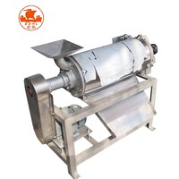 Ce Gecertificeerde Commerciële Kwaliteit Zware Roestvrijstalen Mango & Bessenpuree Extractor Fruitpulper Machine