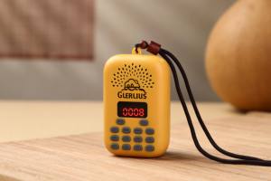 Nuovo Design di bell'aspetto incorporato 49 <span class=keywords><strong>canzoni</strong></span> su misura per musica religiosa strumento di guarigione spirituale suonatore di canto - Product Image 4