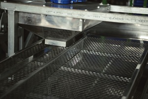 Nouvelle ligne de décorticage de noix de cajou, type double tête de coupe, 12 lames, capacité 1000-1200 kg/h, entièrement automatique, pour grossistes - Product Image 4