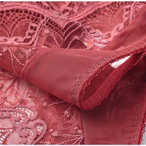 Oem bán buôn ropa nội thất mujer đồng bằng màu rắn quần lót cho phụ nữ xem qua ren ngắn gọn đồ lót calmones de mujer - Product Image 3