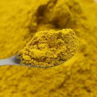 Poudre de Curcuma en Gros Épices de Haute Qualité Épice Herbe Biologique Curcuma Entièrement Séché