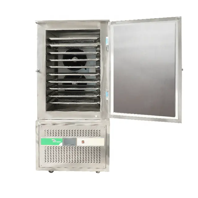 -40 Individual Mini Small Instant Quick Freezing Shock Blast Frozen Freezer For Shrimp Fillet Fish Food