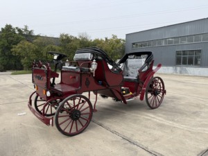 Carrozza Reale Elettrica Nera e Oro a Basso Prezzo, Prodotta in Acciaio da Fabbricante di Carrozze Reali - Product Image 6