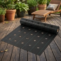 Toile de paillage agricole en PP tissé, barrière anti-mauvaises herbes, couleur noire, pour le jardinage
