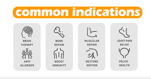2025 Pemf fisik Pemf Loop nyeri kuda pereda nyeri akur dan pemulihan cedera Pemf pereda nyeri mesin - Product Image 4