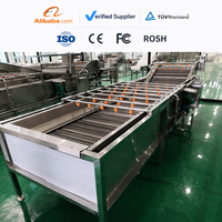 Automatische Bubbelreiniger Wasmachine Grote Groente Wasmachine Oranje Wasmachine