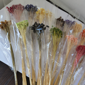 Couronne de fleurs séchées de fleurs étoilées brésiliennes, petites marguerites de <span class=keywords><strong>montagne</strong></span>, pour décorations de Noël DIY, couronne populaire - Product Image 4