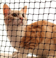 Filet de sécurité pour chat avec fil en acier inoxydable Filet anti-chute pour balcon Fenêtre Escalier Filet/Enceinte pour chat autoportante