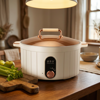 Marmite Électrique Sans Fil en Alliage d'Aluminium 5L 1600W avec Arrêt Automatique et Protection Anti-Ébullition à Sec, Rotation à 360°, pour Usage Domestique et Extérieur