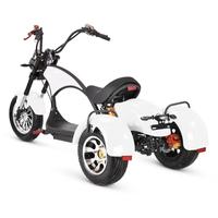 Scooter électrique à gros pneus, moteur 4000W, 60V, Citycoco, scooter électrique à 3 roues, scooters électriques puissants