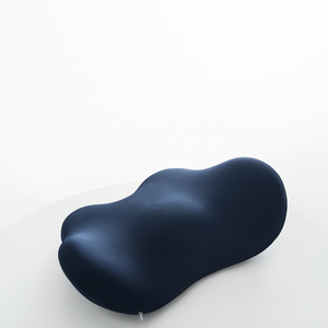 YUE RISE Coussin de Soutien Lombaire Ergonomique Respirant en Mousse à Mémoire de Forme 3D pour Soulagement des Douleurs Lombaires, Idéal pour le Sommeil, les Soins et le Camping - Product Image 1
