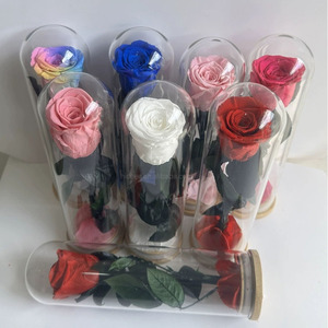 Infinity Rose Venta al por mayor Flores estabilizadas <span class=keywords><strong>de</strong></span> rosas preservadas <span class=keywords><strong>con</strong></span> tallo <span class=keywords><strong>Rosa</strong></span> eterna única natural en cúpula <span class=keywords><strong>de</strong></span> vidrio - Product Image 1