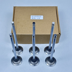 Nuevo Juego de 6 Válvulas de Admisión R520224 520224 para Tractor 7270R 8335R 8295R 8270R 8245R 8235R de Alta Calidad - Product Image 6