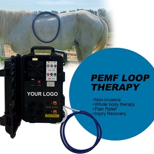 เครื่อง PEMF แบบสองช่องสัญญาณสำหรับม้า ช่วยผ่อนคลายกล้ามเนื้อที่ตึง บรรเทาความเครียดทางร่างกาย และส่งเสริมคุณภาพการนอนหลับที่ดีขึ้น - Product Image 1