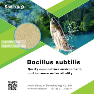 <strong>Probioticos</strong> Bacillus Subtilissoil Fertilizer Additive Plant Nutrition Probiotics Feed Grade Probiotic Powder - Product Image 4