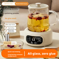 Bouilloire Électrique Multifonctionnelle 500ml à Succès Commercial, 6 Modes de Cuisson, Maintien au Chaud 24H, Bouteille en Verre, Filtre 304 pour Maison et Bureau