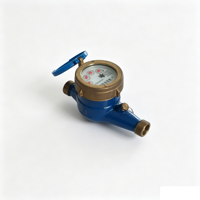 Compteur d'eau numérique à boîtier en laiton durable avec mesure de haute précision, indice de protection IP68, taille DN15, OEM disponible