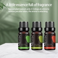 Lot de parfums pour femmes bio 100 % purs, écologiques, au parfum boisé longue durée, avec diffuseur d'huiles essentielles naturelles en gros