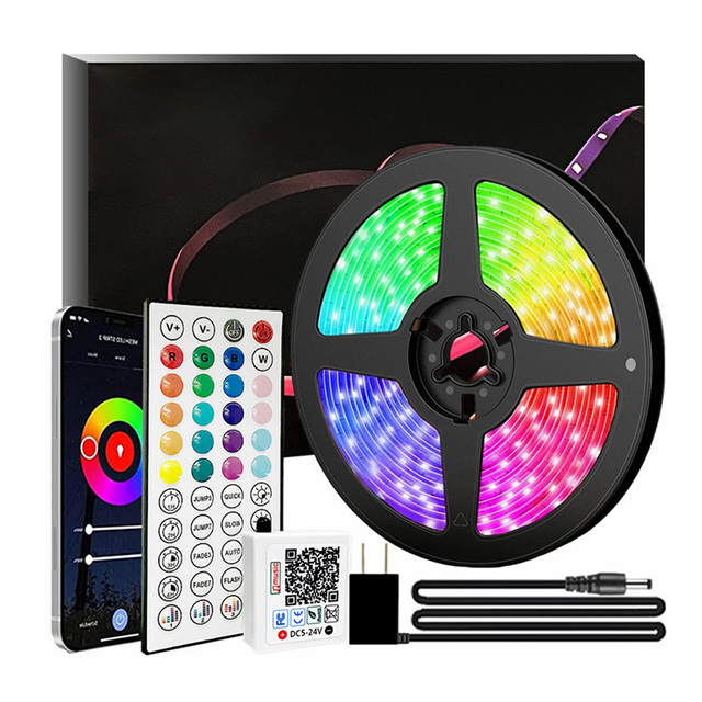 Twinklight Decorative 24V 3535 Smart RGB LED Rope Strip Light Color Changing LED Strip Lights with Remote for Home Lighting