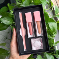 Ensemble de maquillage pour les lèvres 4 en 1, gloss à lèvres, crayon à lèvres, rouge à lèvres, masque pour les lèvres, cosmétiques longue durée, emballage personnalisé OEM