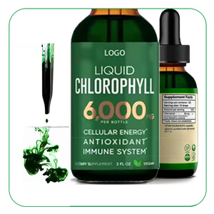 Gouttes de gros OEM d'extrait de molène de chlorophylle Les suppléments détox stimulent le système immunitaire Tout naturel, liquide de chlorophylle en vrac végétalien - Product Image 4