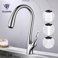 Robinet de cuisine israélien moderne luxueux chromé flexible à un seul trou