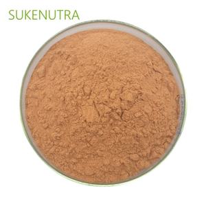 Zimt-Rindextraktpulver mit 30 % Polyphenolen zur Unterstützung des Zuckerstoffwechsels - Product Image 3