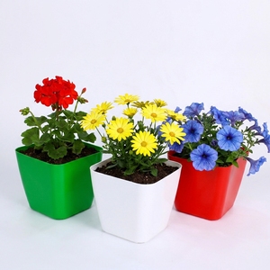Maceta Moderna Cuadrada de Plástico para Flores, Maceta Decorativa para Interiores, Maceta de PP para Jardín o Vivero, para Decoración del Hogar o Balcón, Tamaño 13 - Product Image 1