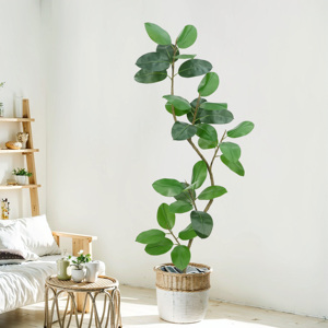 6ft הנמכר ביותר למכור עץ גדול עץ גומי ירוק מלאכותי עץ צמח פיקוס מקורה סלון עבור עיצוב משרדי bonsai - Product Image 3