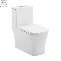 WC en céramique noir mat Cupc, sanitaire en porcelaine, à poser au sol, cuvette de toilette, salle de bain, siphon Tornado, toilette monobloc en céramique