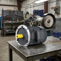 Moteur asynchrone léger à haute efficacité et bonnes performances pour machine à polir