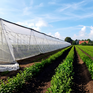 Greenhouse Insect Protection <b>Plastic</b> Net Agro <b>Mesh</b> Tunnel Cover with Cutting Service - Product Image 1