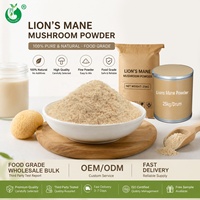 Poudre de champignon Hericium Erinaceus (Crinière de lion) en vrac à prix de gros