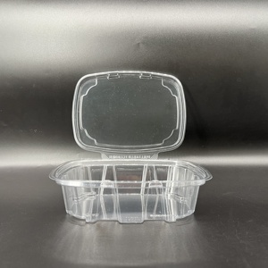 20OZ PET Fruit Box Rectangle Large Salad Container With Cover Plastic Takeout Fruit Tray Clear Disposable Vegetable Display