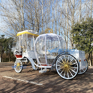 Carruaje de Calabaza para Boda, Estilo Cuento de Hadas, Carruaje de Cenicienta, Romántico Buggy Blanco de Princesa con Cortina para Lluvia - Product Image 4