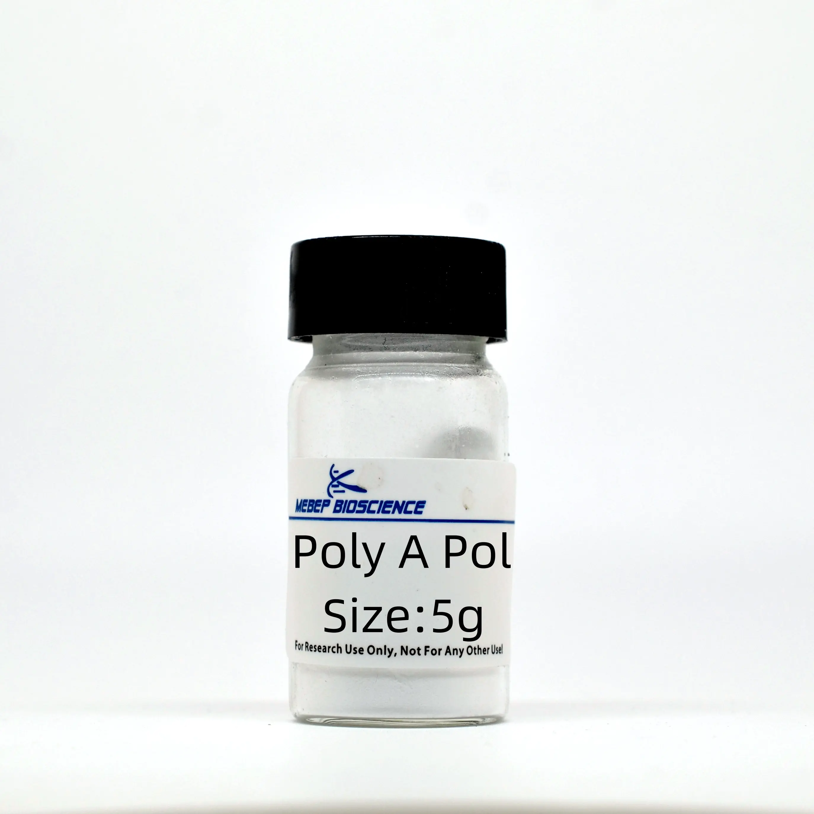 Tinzyme Poly(A) كاليزة البوليمراز درجة GMP تحفيز ATP لتشكيل AMP ضرورية لتعديل RNA