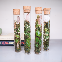 Tube à essai à fond plat Terrarium en mousse artificielle Tube de verre Plantes Terrariums en bois avec couvercle en liège