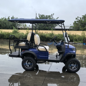New Custom 4-Seater Electric Off-Road Golf Cart 48V 60V 72V Lithium/Lead-Acid <b>Battery</b> Accept Customization - Product Image 5