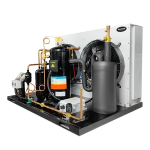 Hermetic Scroll Compressor Condensing Unit New Design Outdoor Cooling for Blast Freezer Cold Room Storage Core Equipment