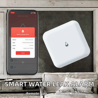 Sensor Kebocoran Air Bertenaga Baterai Tuya ZigBee, Detektor Cerdas Desain Alarm Bar, Untuk Penggunaan di Garasi, Rumah, Luar Ruangan, Daya Tahan Baterai 4 Bulan