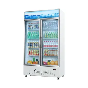 Sale Commercial Refrigerator Glass 2 Door Standing Freezer Beverage Chiller Display Freezer Showcase American Fridge