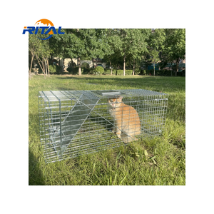 Piège à animaux domestiques et sauvages en métal, grand modèle, pour <span class=keywords><strong>coyote</strong></span>, écureuil, lapin, raton laveur, chien, renard, chat errant - Product Image 1
