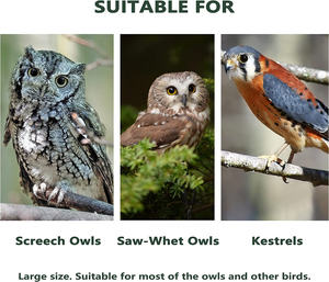 Custom Groothandel Groothandel Groendak Vogel Huis Eenvoudig Te Monteren Volière Houten Handgemaakte Vogel Nest - Product Image 6