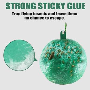 Trampa <span class=keywords><strong>para</strong></span> Moscas en Oferta, Trampa <span class=keywords><strong>para</strong></span> Moscas en Forma de Bola <span class=keywords><strong>para</strong></span> Interiores, Bola Adhesiva <span class=keywords><strong>para</strong></span> Insectos Colgante <span class=keywords><strong>para</strong></span> Exteriores, Trampa <span class=keywords><strong>para</strong></span> Mosquitos <span class=keywords><strong>para</strong></span> <span class=keywords><strong>Plantas</strong></span> de Interior y Cocina - Product Image 5