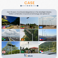 Lampadaire solaire LED tout-en-un haute luminosité 30W IP66 DC pour projets d'ingénierie municipale