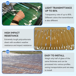 Hojas transparentes corrugadas transparentes 1Mm de espesor Bronce 3Mm Hoja de policarbonato para hoja de policarbonato Ventana Lanza Led - Product Image 2