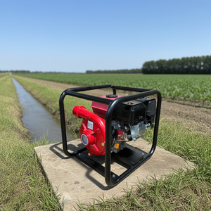 Bomba de Gasolina de Hierro Fundido de Alta Calidad de 2 Pulgadas y 7HP OEM para Riego y Agricultura - Product Image 2